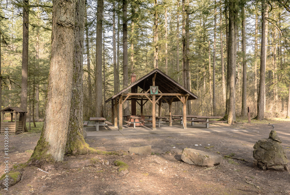 Covered picnic area and forest Washington state.