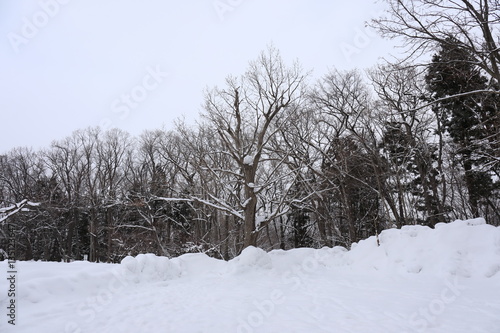 Wallpaper Mural Winter scene of Hokkaido Japan Torontodigital.ca