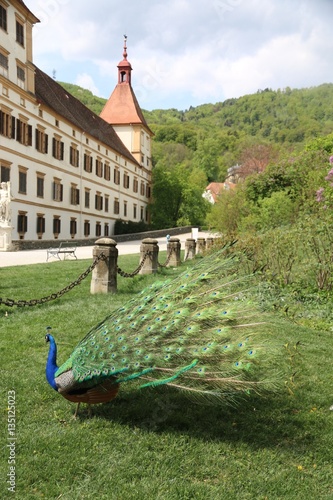 Eggenberg Palace at Graz, Austria photo