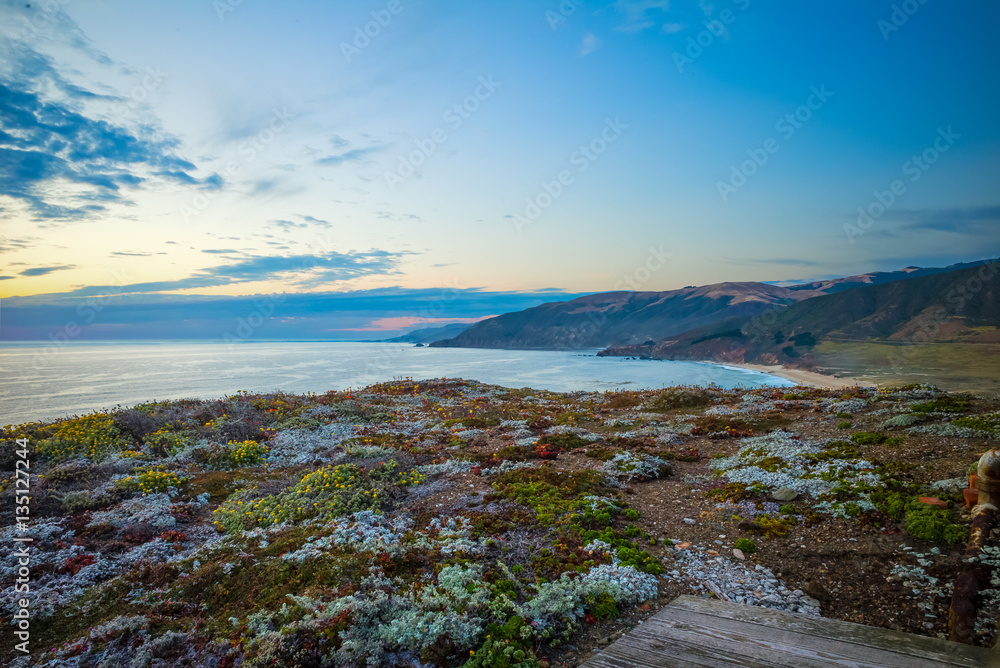 Sunset at Big Sur California.  Flowers.  View from Point Sur lighthouse island near Monterey.