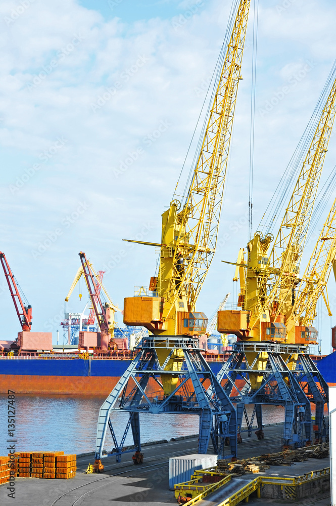 Bulk cargo ship under port crane