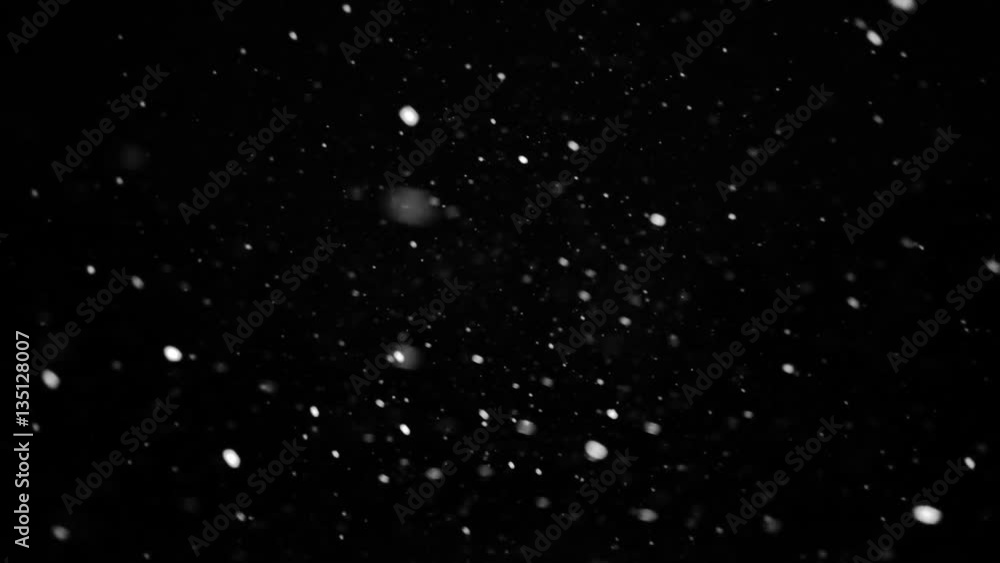 Real winter snowfall. Snow Slow motion filmed with studio lighting Real winter snowfall. Snow Slow motion filmed with studio lighting