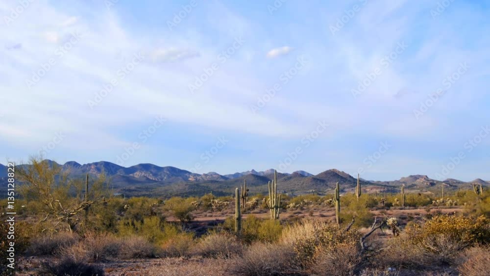 Pan of desert scenery in Arizona shows the dry climate this terrain endures. Pan of desert scenery in Arizona shows the dry climate this terrain endures.