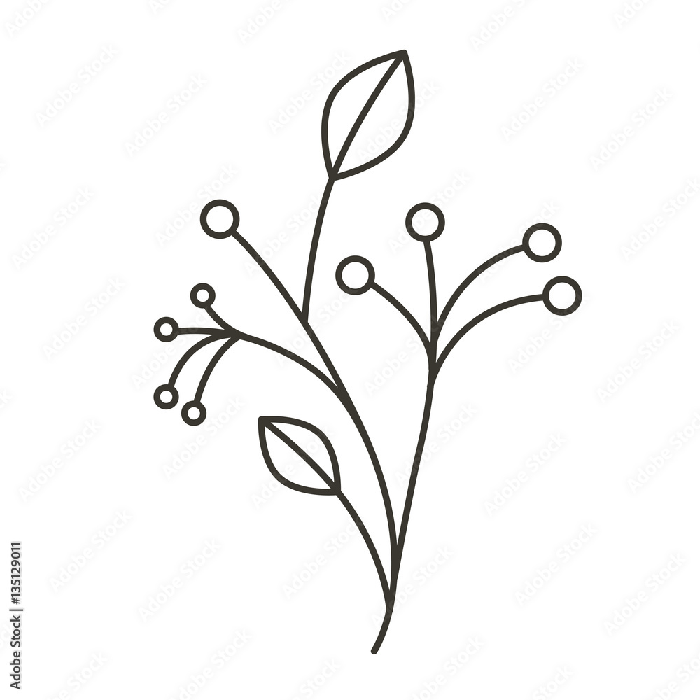 silhouette ramifications tree with stem and branches vector illustration silhouette ramifications tree with stem and branches vector illustration