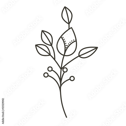 silhouette ramifications flower with stem and branches . Vector illustration