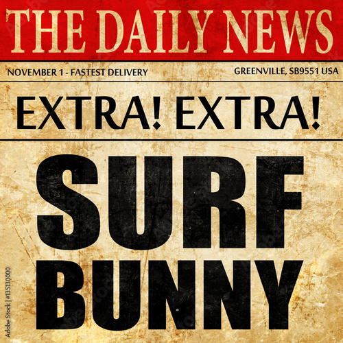 surf bunny, newspaper article text