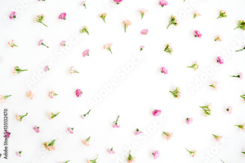 Frame with pink and beige wildflower buds, green leaves, branches on white background. Flat lay, top view. Valentine's background