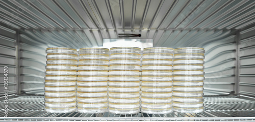 Bacteria cell were incubated on the various plates and tubes in the incubatr