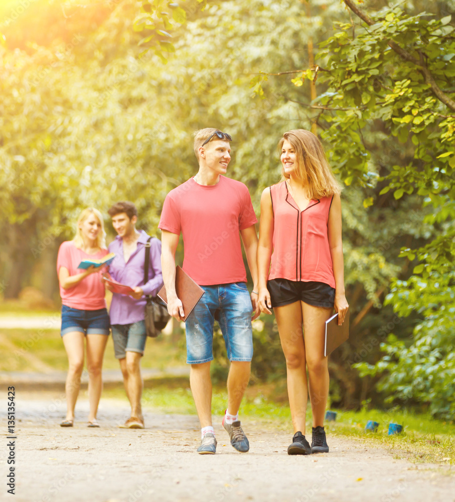 Fototapeta premium group of happy students in a Park on Sunny day..