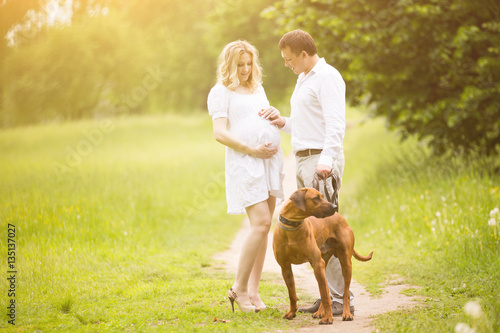 happy couple future parents on the walk with the dog in the Park