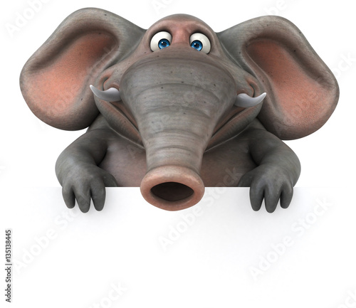 Photography Fun elephant - 3D Illustration