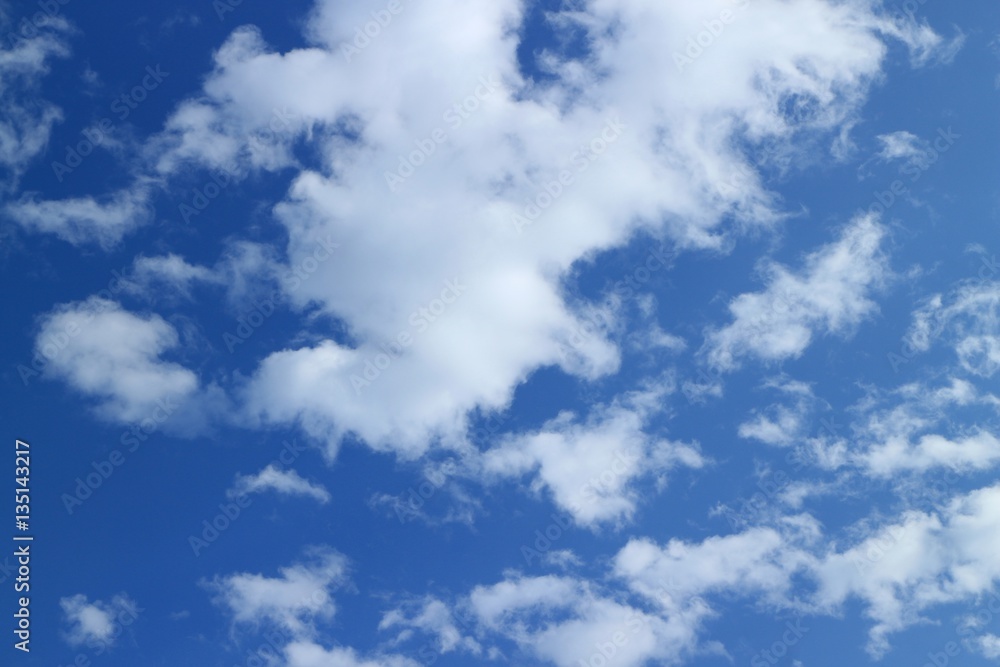 Obraz premium 青空と綿雲