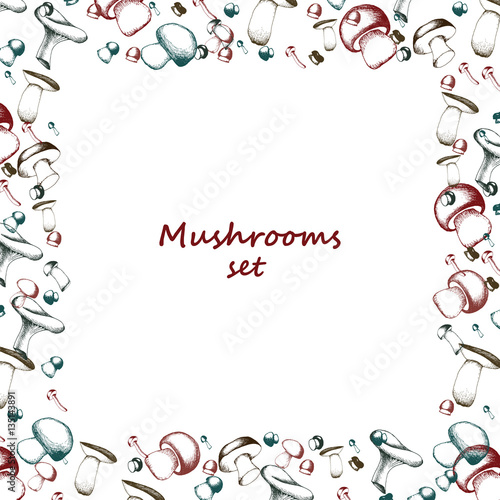 Mushrooms arranged in frame