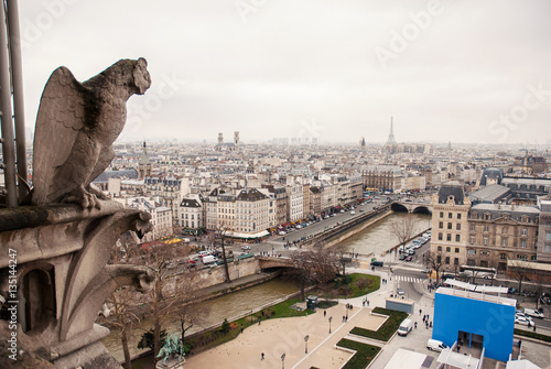 Gargoyles of Paris on Notre Dame Cathedral church