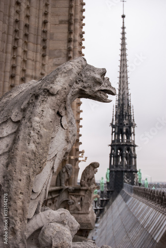 Chimera of the Cathedral Notre Dame de Paris