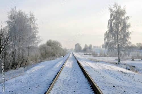 Railway in perspective on the background of snowy winter landscape.