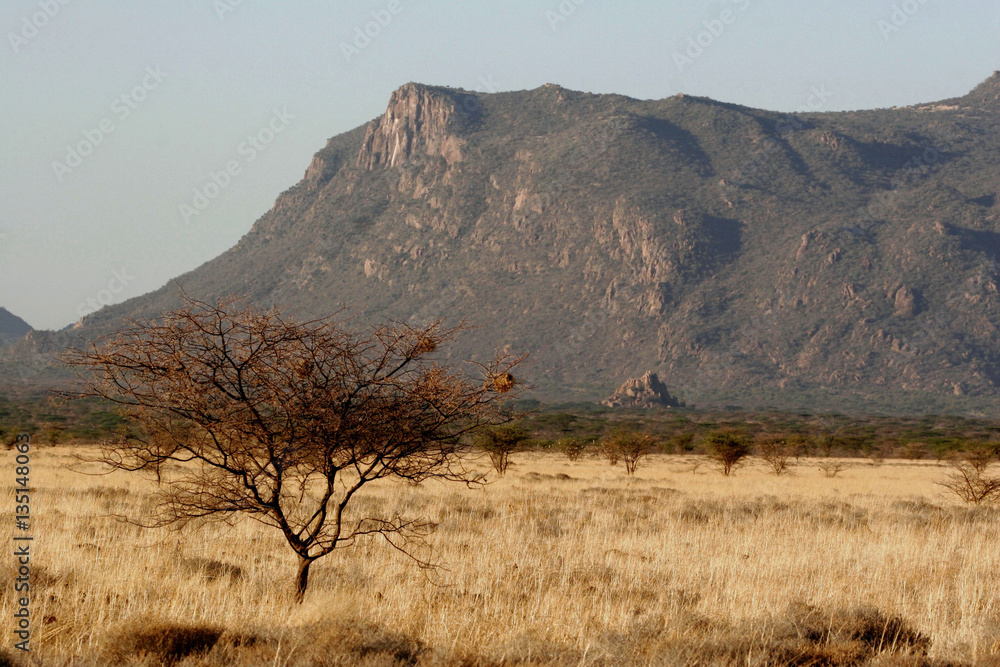 Beautifull landscape in the desert of Samburu & Shaba Nationalpa