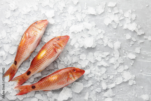 Fresh red mullet fish on icy stone background, top view