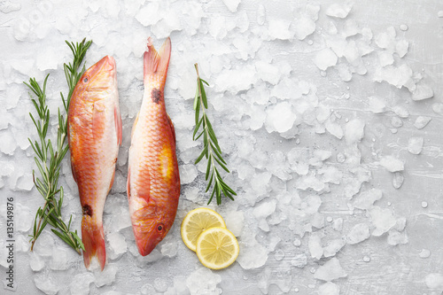 Fresh red mullet fish with lemon and rosemary on icy stone background