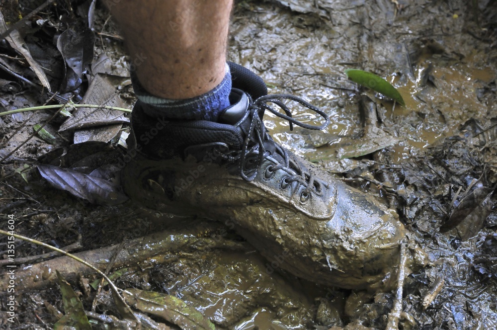 Obraz premium chaussure dans la boue