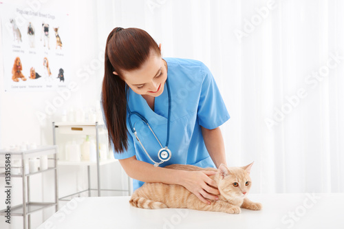 Pretty young veterinarian e...