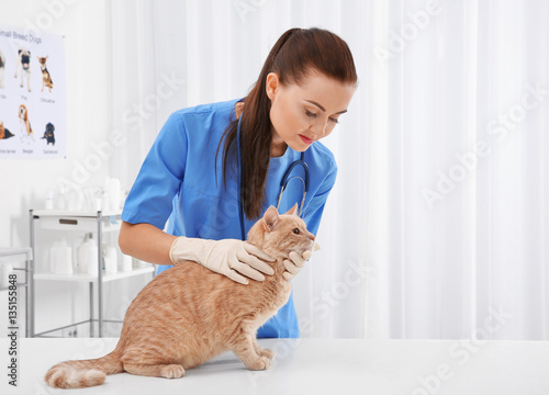 Pretty young veterinarian e...