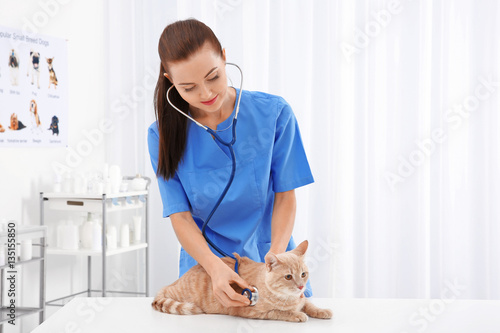 Pretty young veterinarian e...