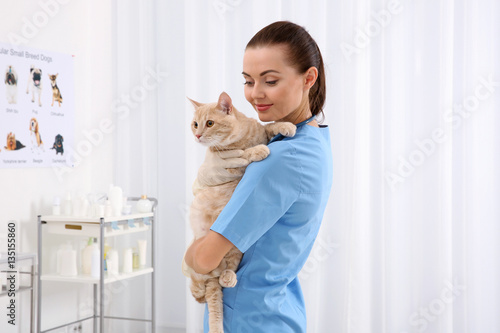 Pretty young veterinarian h...
