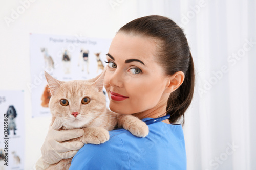 Pretty young veterinarian h...