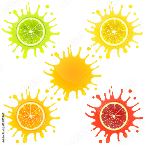 Citrus Fruit in Splashes of Juice