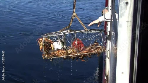 Crab fishing in Alaska