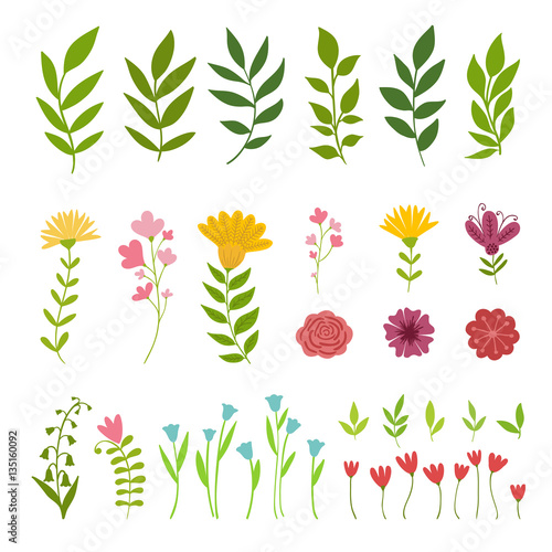 Decorative flowers,leaves and brances. Vector illustration.