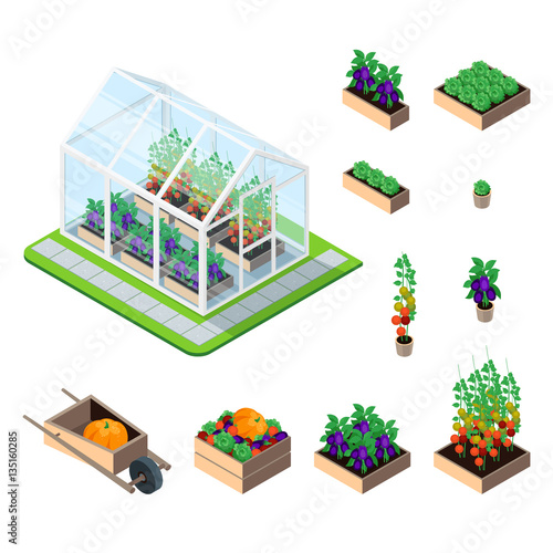 Greenhouse isometric set