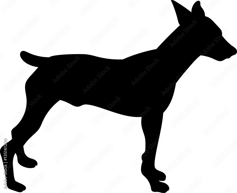 Little dog vector silhouette