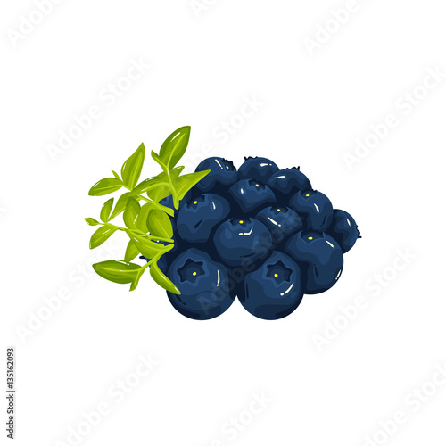 Blueberry Fruit Delicious Realistic Vector Illustration