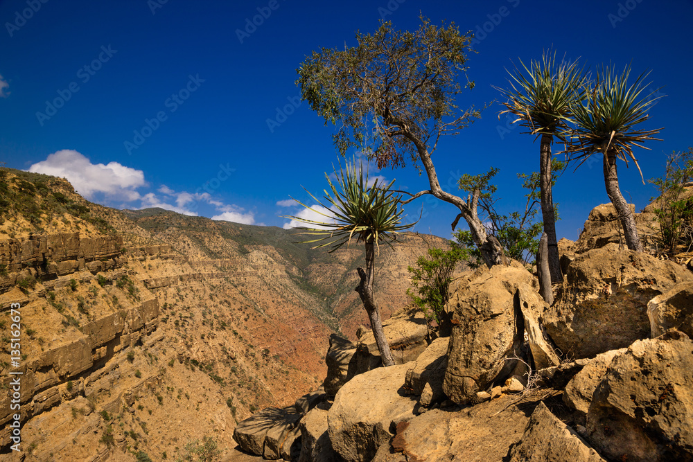 Afar region - Ethiopia