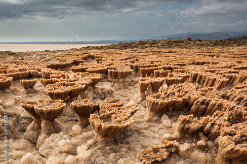 Tableau sur toile Dallol volcano in Danakil Depression - Afar region - Ethiopia