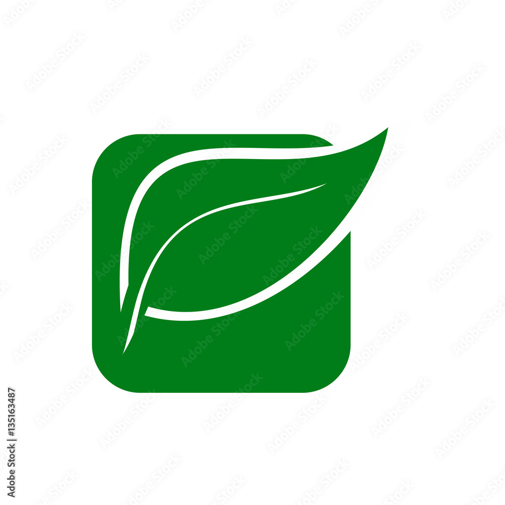 Eco Nature Green Leaf Square Vector Icon Eco Nature Green Leaf Square Vector Icon