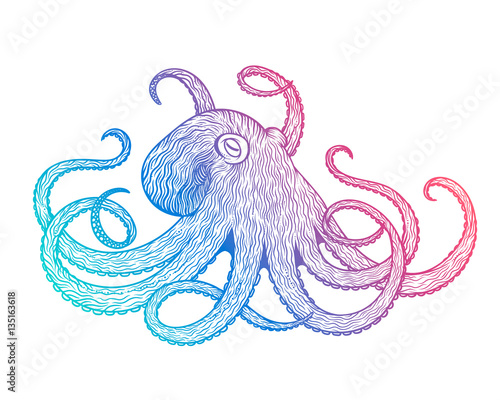 Vector illustration of octopus line art style. Design for t-shirt, posters.