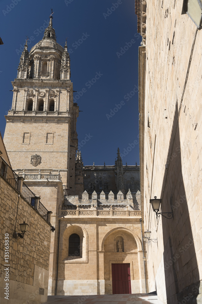 Salamanca (Spain): historic cathedral