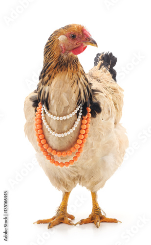 Red chicken in the necklace.