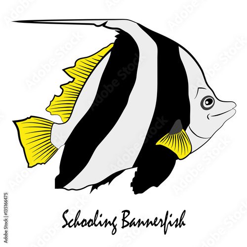 Schooling  Bannerfish Saltwater Aquarium Fish vector illustration