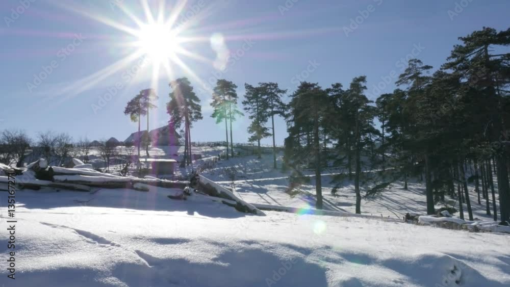 Slow tilt on sun flare shine over snowed coniferous woods 3840X2160 UHD footage - First snow covers cone-bearing seed plants 4K 2160p 30fps UltraHD tilting video Slow tilt on sun flare shine over snowed coniferous woods 3840X2160 UHD footage - First snow covers cone-bearing seed plants 4K 2160p 30fps UltraHD tilting video
