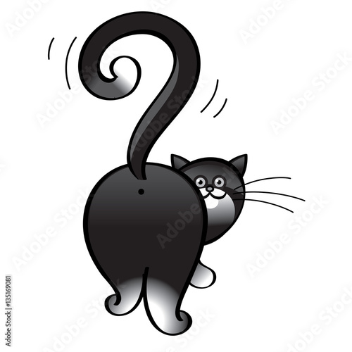 Question cat - domestic animal, tail in the shape of a question mark