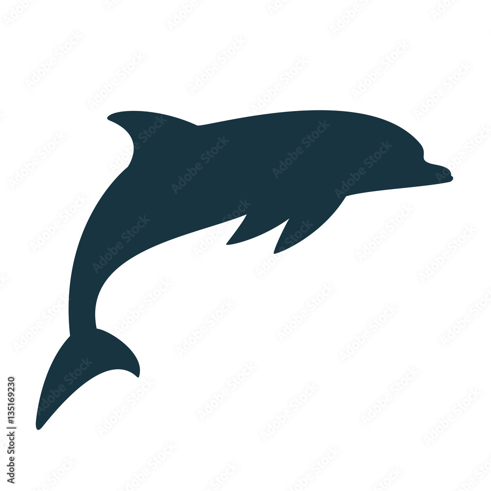 Fototapeta premium silhouette dolphin on the white background blue empty