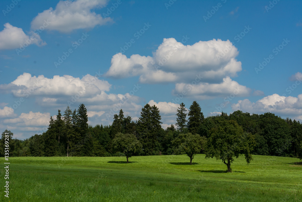 Fototapeta premium Sommertag auf dem Land