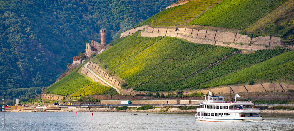 Fototapeta premium UNESCO cultural heritage middle rhine valley Germany near Bingen