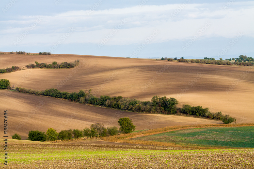 Wavy brown fields, Moravia, Czech Republic