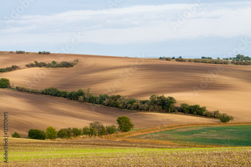 Wavy brown fields, Moravia, Czech Republic