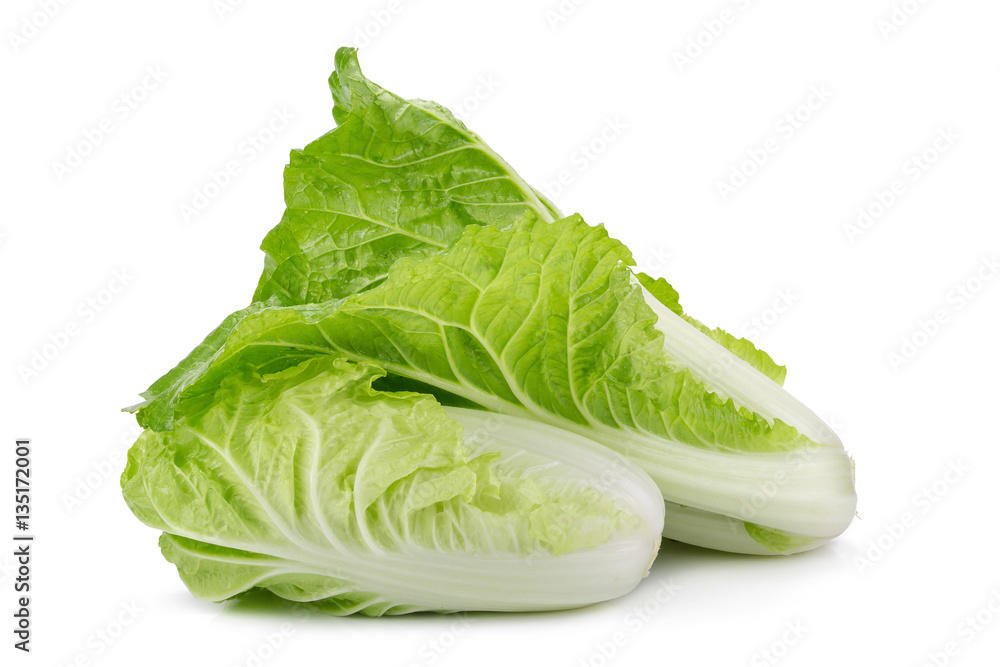 fresh napa cabbage on white background. fresh napa cabbage on white background.
